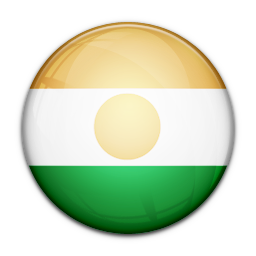 Flag Of Niger Icon 256x256 png